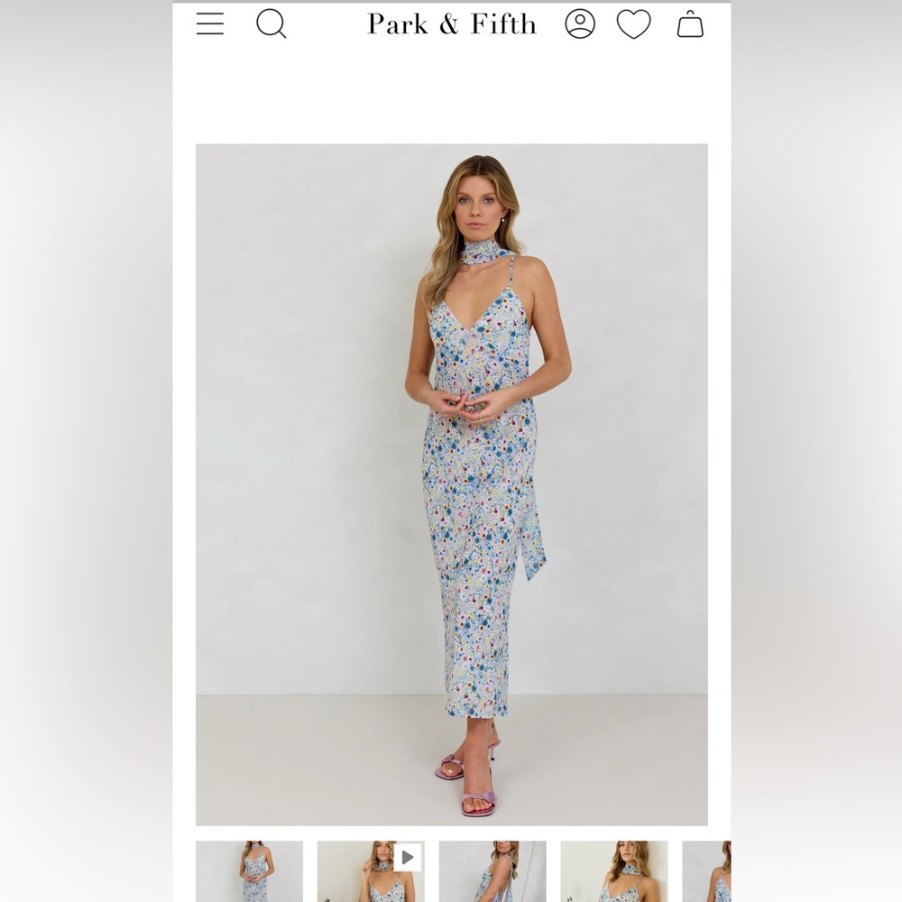 Park and fifth Elmwood dress in perfect condition